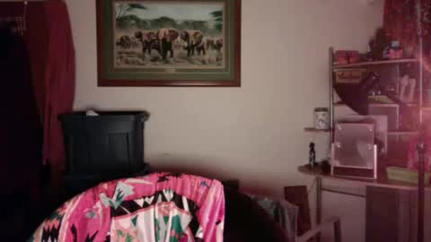 gingerbd92 online show from 20, 4, 2026