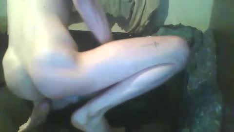 Snapshot of girthdoctor chatting on 3, 12, 2025 girthdoctor online show from 3, 12, 2025