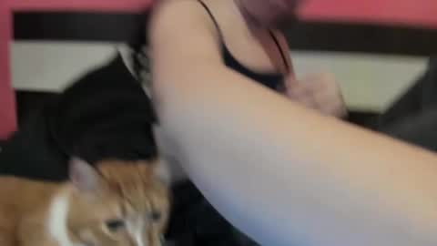 Gisella online show from 10, 1, 2025