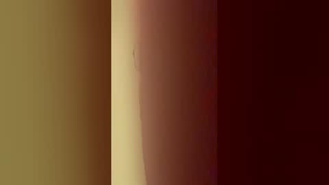 Snapshot of gismo783255602761831655913118 chatting on 24, 6, 2026 gismo783255602761831655913118 online show from 24, 6, 2026