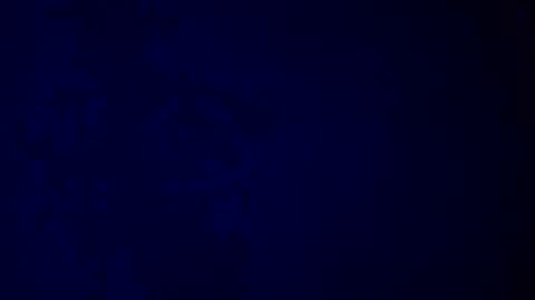 elen06 online show from 16, 12, 2025