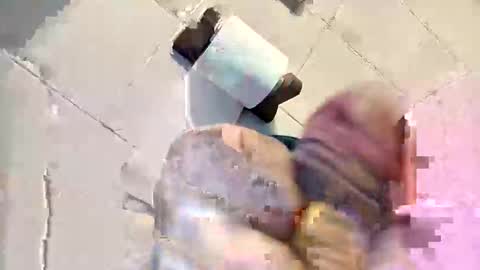 giutomma930394 online show from 12, 1, 2026