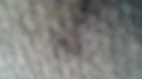 Snapshot of givr6inches chatting on 25, 2, 2025 e-Bizl online show from 25, 2, 2025