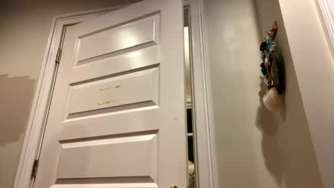 Lets get wierd online show from 24, 10, 2025