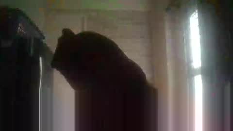 gloriakisibo548 online show from 18, 4, 2026