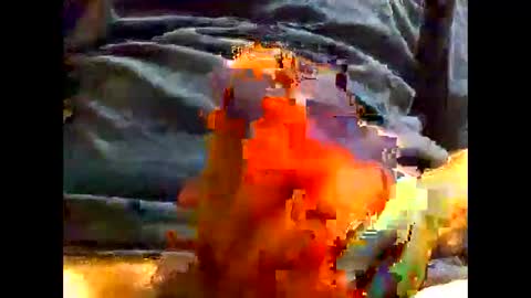 PencilDick online show from 5, 12, 2024