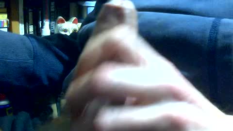 PencilDick online show from 24, 7, 2026