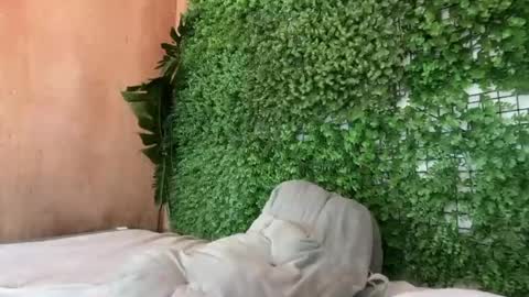 goddess_jennyxx online show from 29, 3, 2026