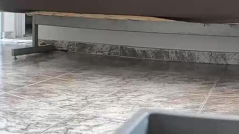 goddesshannahfeet_ online show from 7, 4, 2026