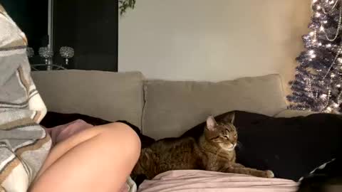 GoddessMayvn online show from 29, 12, 2024