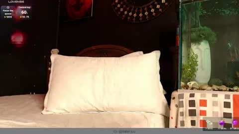 HUAN online show from 9, 1, 2026