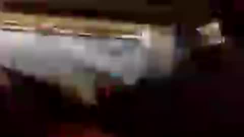 gogome794 online show from 28, 6, 2026