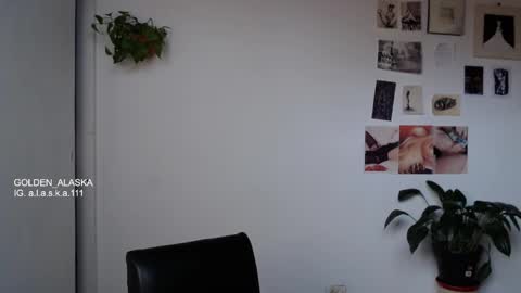 Alaska online show from 8, 10, 2025