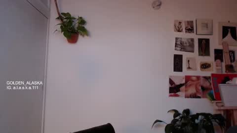 Alaska online show from 20, 10, 2025