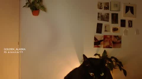 Alaska online show from 5, 11, 2025