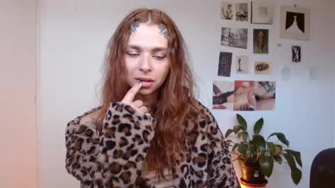 Alaska online show from 2, 12, 2025