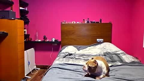 gonzalo online show from 23, 3, 2026