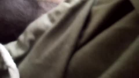 Snapshot of goodfucker3252 chatting on 5, 1, 2025 Arab Pronstar online show from 5, 1, 2025