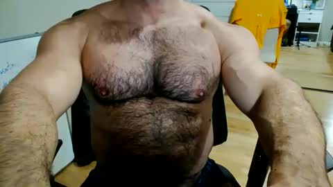 gorillaba online show from 14, 4, 2026