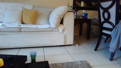 gothbaby305 online show from 16, 9, 2025