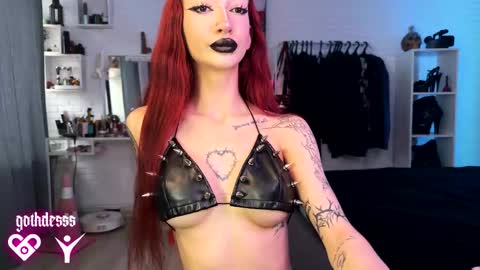    online show from 8, 11, 2025