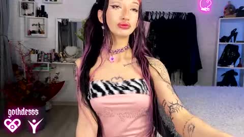    online show from 7, 3, 2026