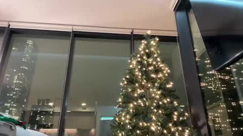 Gracie Mae online show from 3, 12, 2025