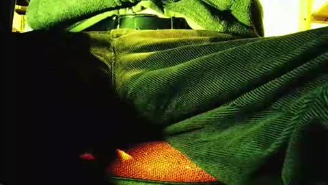 grapefruit online show from 12, 11, 2025