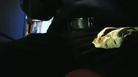 grapefruit online show from 11, 3, 2026