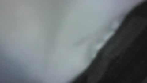 Snapshot of green_robin_hood chatting on 2, 12, 2024 Green Robin Hood online show from 2, 12, 2024
