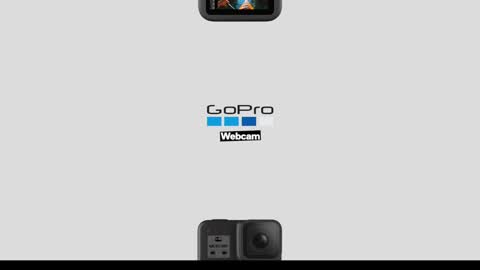 Greenlungs8195 online show from 9, 12, 2024