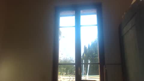 Greenmoon online show from 18, 12, 2024