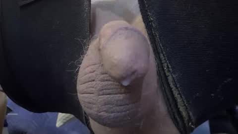 electrogee1 online show from 19, 2, 2026