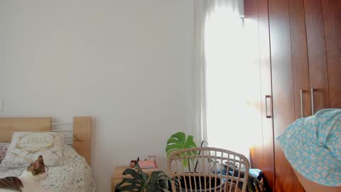 Gretta online show from 11, 12, 2024