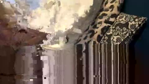 greymen2020 online show from 16, 2, 2026