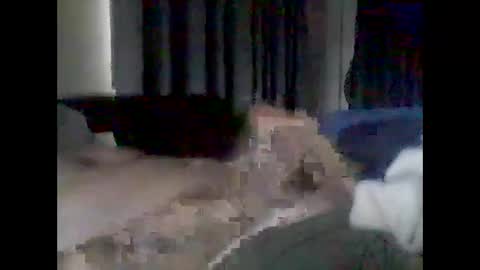 grittslappa online show from 17, 2, 2026