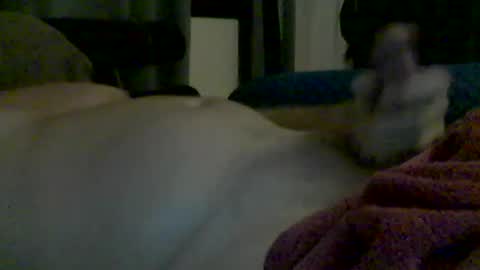 Snapshot of grittslappa chatting on 13, 6, 2026 grittslappa online show from 13, 6, 2026