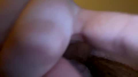 groblol26 online show from 15, 1, 2026