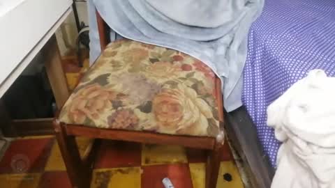 guatemangt online show from 12, 3, 2025