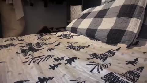 gumbywanna online show from 29, 12, 2024