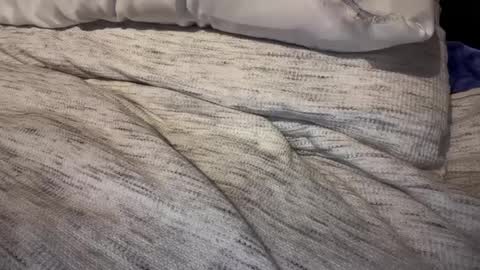 gumbywanna online show from 9, 2, 2025