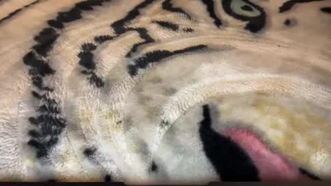 gumbywanna online show from 2, 3, 2026