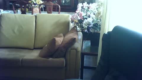 Snapshot of gutobhz249564 chatting on 4, 3, 2025 gutobhz249564 online show from 4, 3, 2025