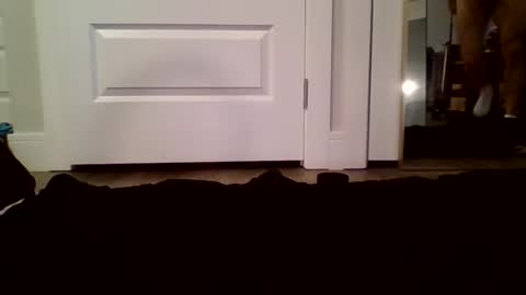 Guy Spartan online show from 12, 1, 2026