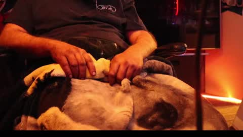 h0tttsteel online show from 18, 12, 2024