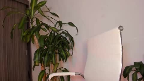 Snapshot of hailey_firee chatting on 1, 10, 2025 Hailey online show from 1, 10, 2025