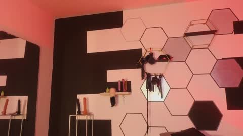 haileycat_ online show from 25, 1, 2025