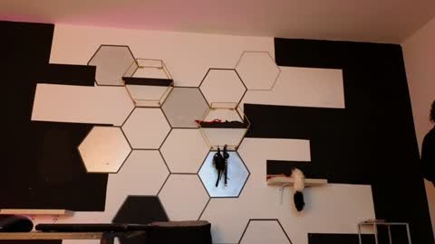 haileycat_ online show from 6, 2, 2025