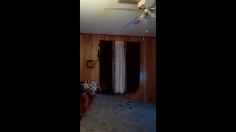 hailstorm32 online show from 24, 2, 2026