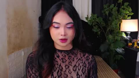 haily online show from 12, 11, 2025